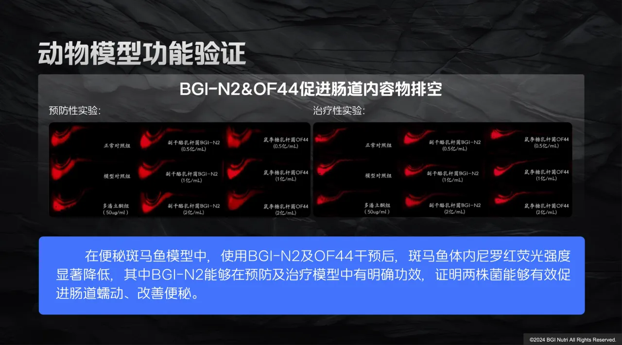 图4.webp 图4.webp