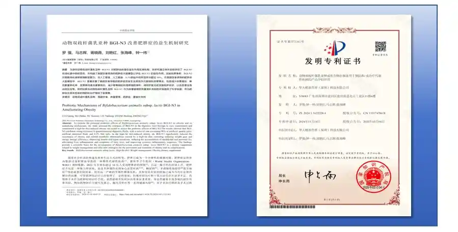 图片2.webp 图片2.webp