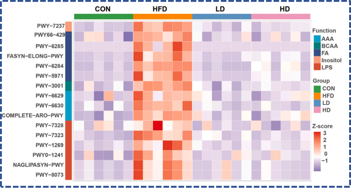 图片5.png 图片5.png