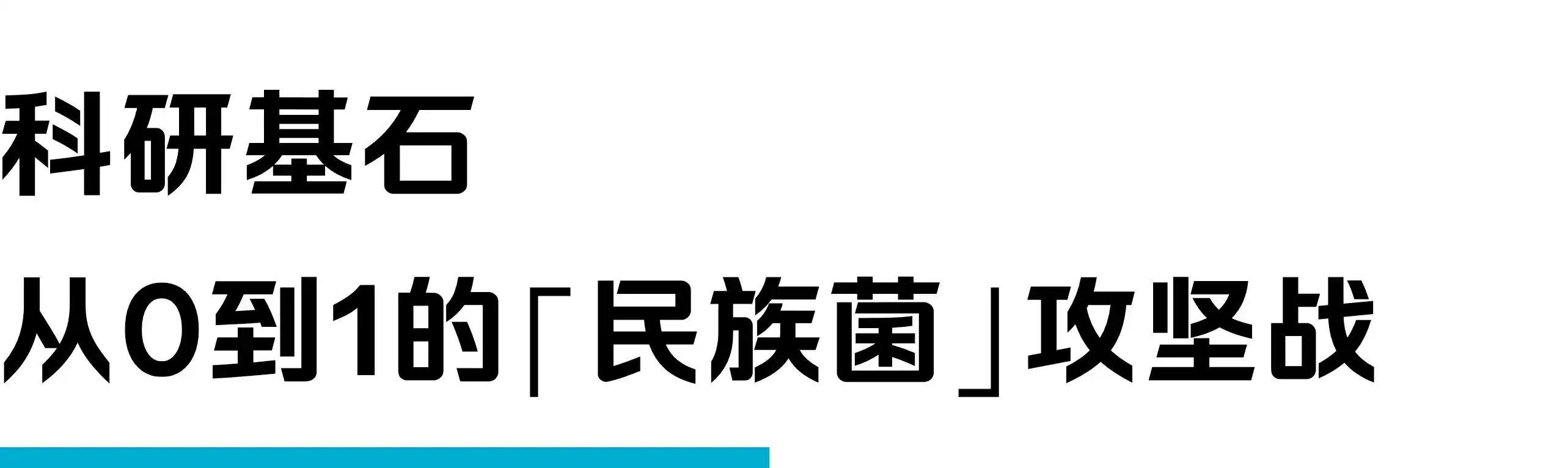 大标题1.webp 大标题1.webp