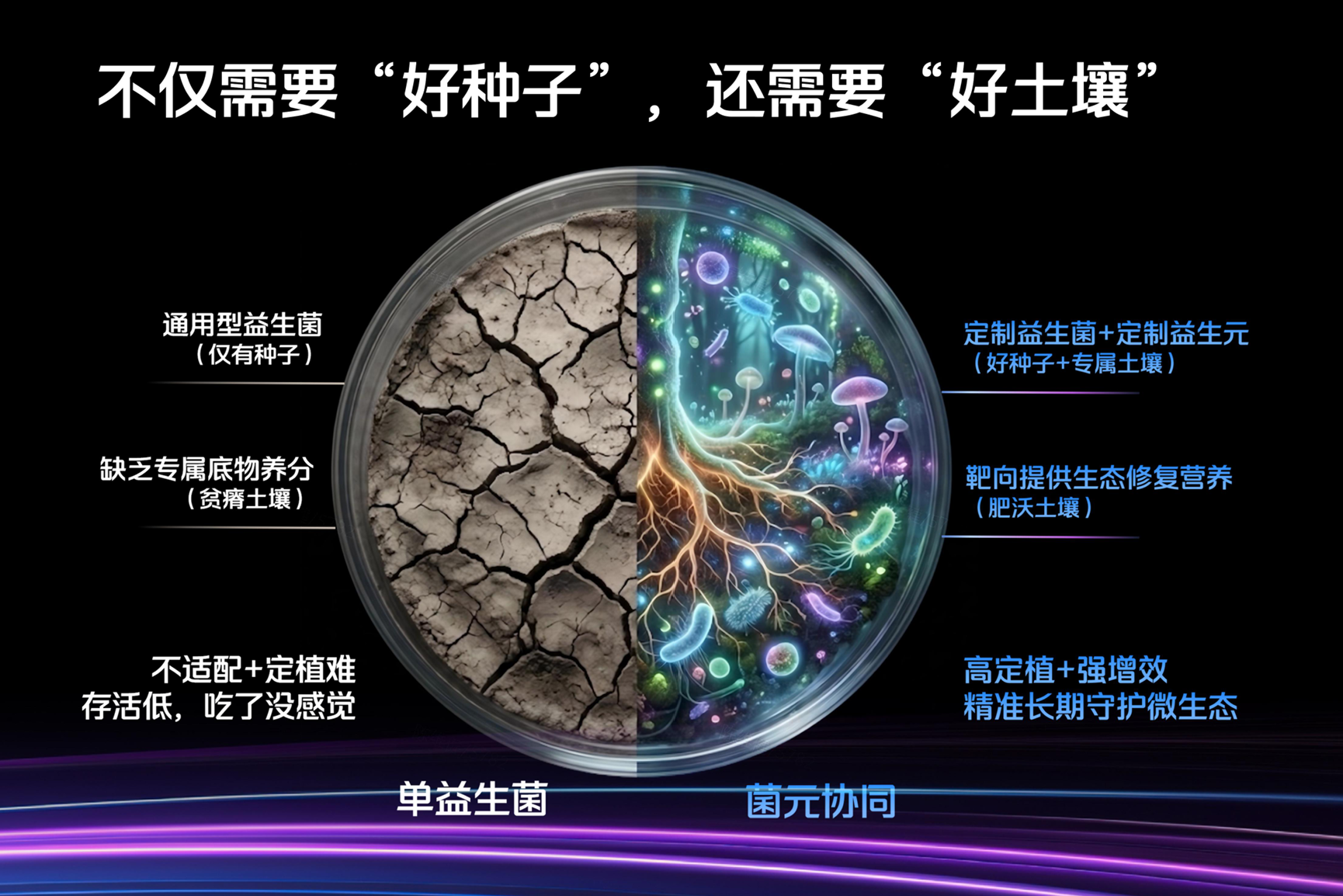 好土壤.png 好土壤.png