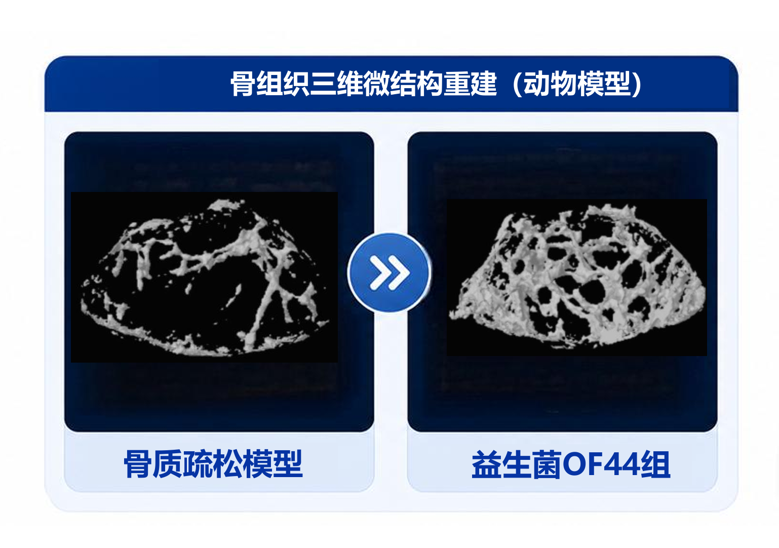 图10.png