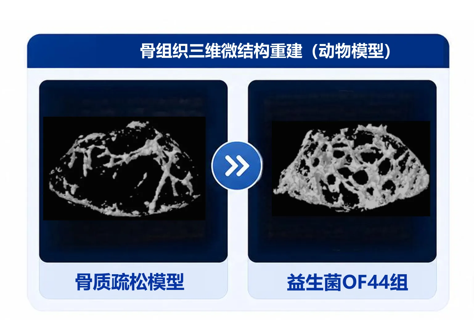 图10.webp 图10.webp